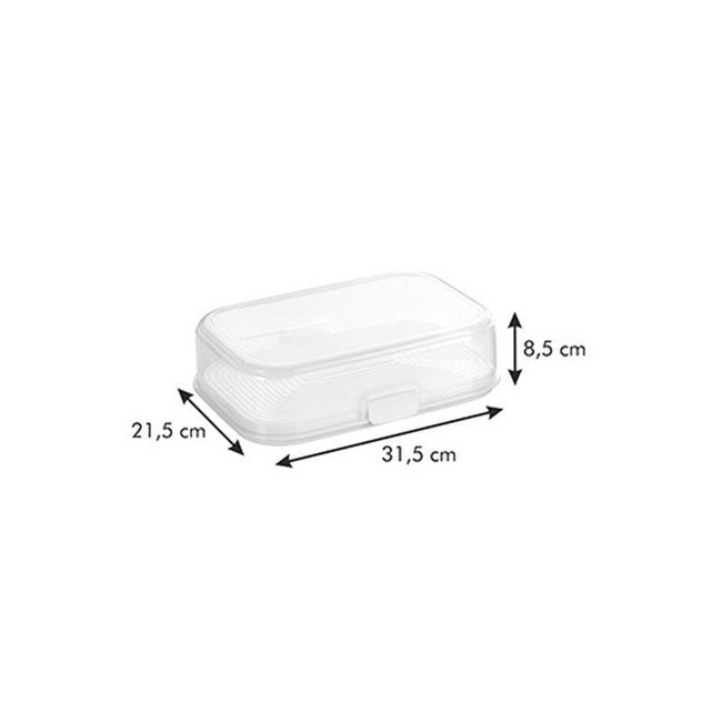 Pojemnik do przechowywania żywności w lodówce - wymiary 30x20 cm | TESCOMA FRESH ZONE