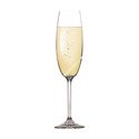 Lampki do szampana - pojemność 220 ml, komplet 6 szt. | TESCOMA CHARLIE